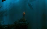 chriscold_-_no_sunlight_future