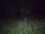 1742291544601179