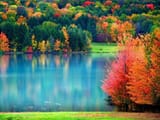 xLGzXui-fall-wallpapers
