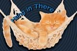 Hang_in_there