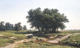 Oaks-Shishkin-1886