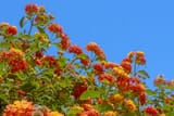 DSC05411-3