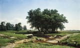 ivan_sishkin_-_oaks__1886