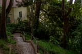 DSC03595