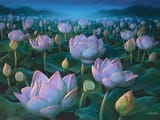 MTG-Lotus-Field-M20 (1)