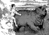 bearfuck