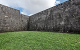grass &amp; wall