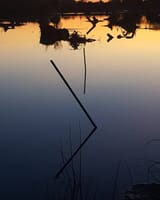 lss_photo8
