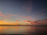 swanny-_deVzKiLCZY-unsplash