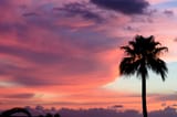 pink_sunset_at_los_gigantes__canary_islands