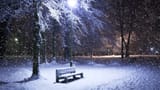 1080 snow