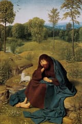 Geertgen tot Sint Jans - John the Baptist in the Wilderness
