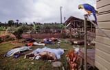 jonestown2