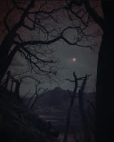 Land of the Red Dragon II (Nonna Limmen)