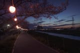 n55_pafu-1944780530706423908-01