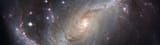 20090721121213!NGC_1672_HST