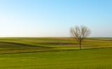 french_landscape