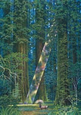 doorofperception.com-hiro_isono-4