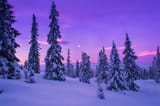 4570453-nature-landscape-forest-snow-winter