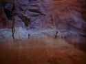 Star Trek - S01E29 - The City on the Edge of Forever no signs of Doctor McCoy_thumb.jpg