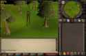 Gondola Runescape_thumb.jpg