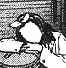 pwnd - look at ur face_thumb.jpg
