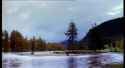 John West - Bear (2000, UK)_thumb.jpg