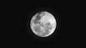 Nagz - My Dog Lives On The Moon_thumb.jpg