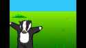 badgers_thumb.jpg