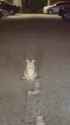 c894828797981081925-01_thumb.jpg