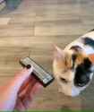 1725149824171564_thumb.jpg