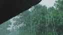 rainfall_thumb.jpg