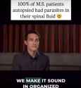 multiple sclerosis_thumb.jpg