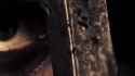 0413(1)webm_thumb.jpg