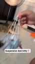 suspension_bed_kitty_cute_kitten_thumb.jpg