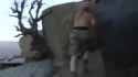 fried by flouride - dead by 30 tangofrown (1) (1)_thumb.jpg