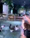 205014-vid1_thumb.jpg