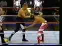 Triple H botched pedigree_thumb.jpg