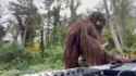 Saxquatch_thumb.jpg