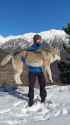 the government doesnt want you to know this but the wolves are free, you can just pick them up and take them_thumb.jpg