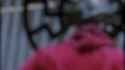 1666972672247617_thumb.jpg