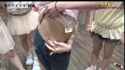 kamenjoshi_bellybuttonchallenge_thumb.jpg