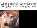1720384762648270_thumb.jpg