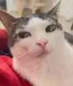 1742337556831876_thumb.jpg