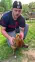 Rooster hipnotizer_thumb.jpg