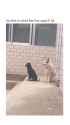 VID-20241109-WA0000_thumb.jpg