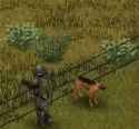 Fallout dog_thumb.jpg