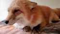 VID_20211111_182325_609_thumb.jpg