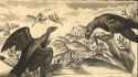 Saint Nicetas 2 - the Recluse_thumb.jpg