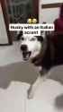 dog_thumb.jpg
